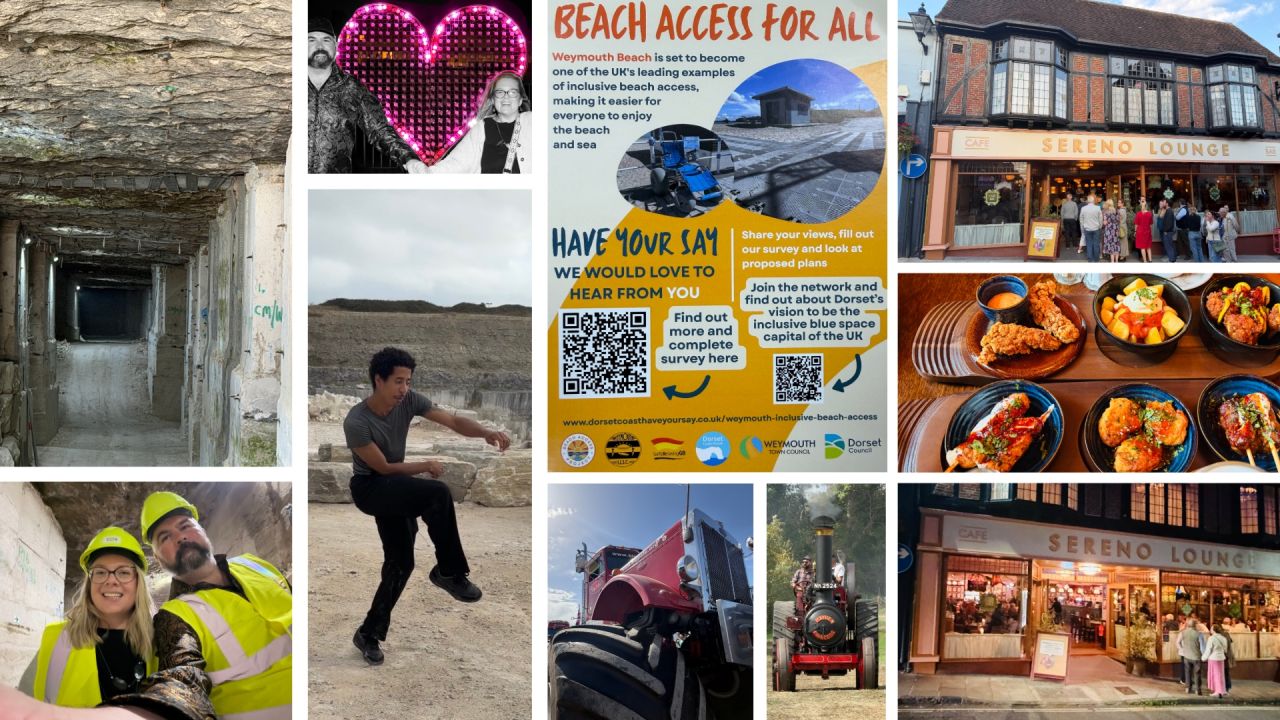 The last 7 Days in Dorset